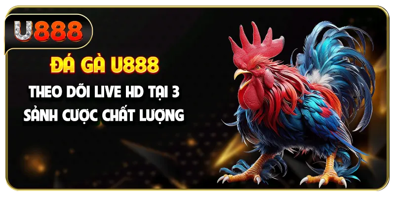 Đá gà U888 - Theo Dõi Live HD Tại 3 Sảnh Cược Chất Lượng